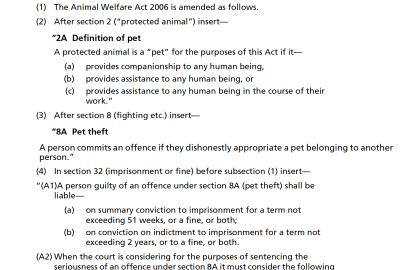 Pet Theft Amendment NC16